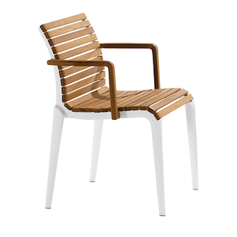 Teak Sedia